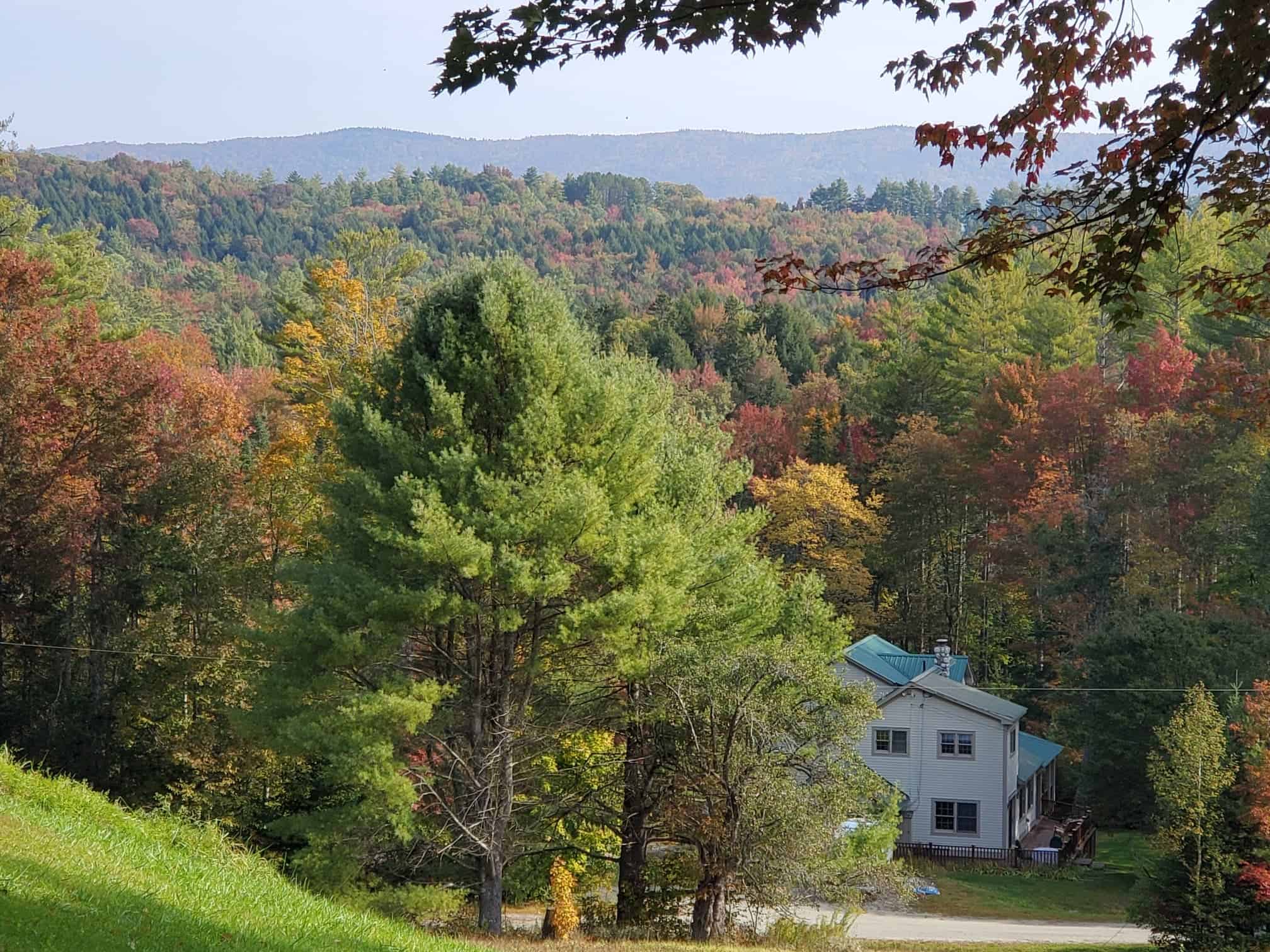 Foliage in Londonderry, VT by Renee-Marie Smith