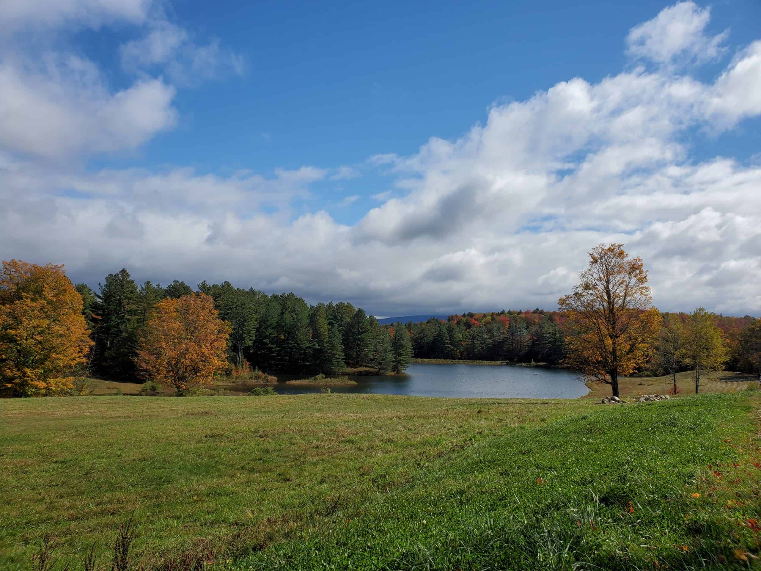 2019/10/04 - Fall Foliage in Peru, VT - by Renee-Marie Smith