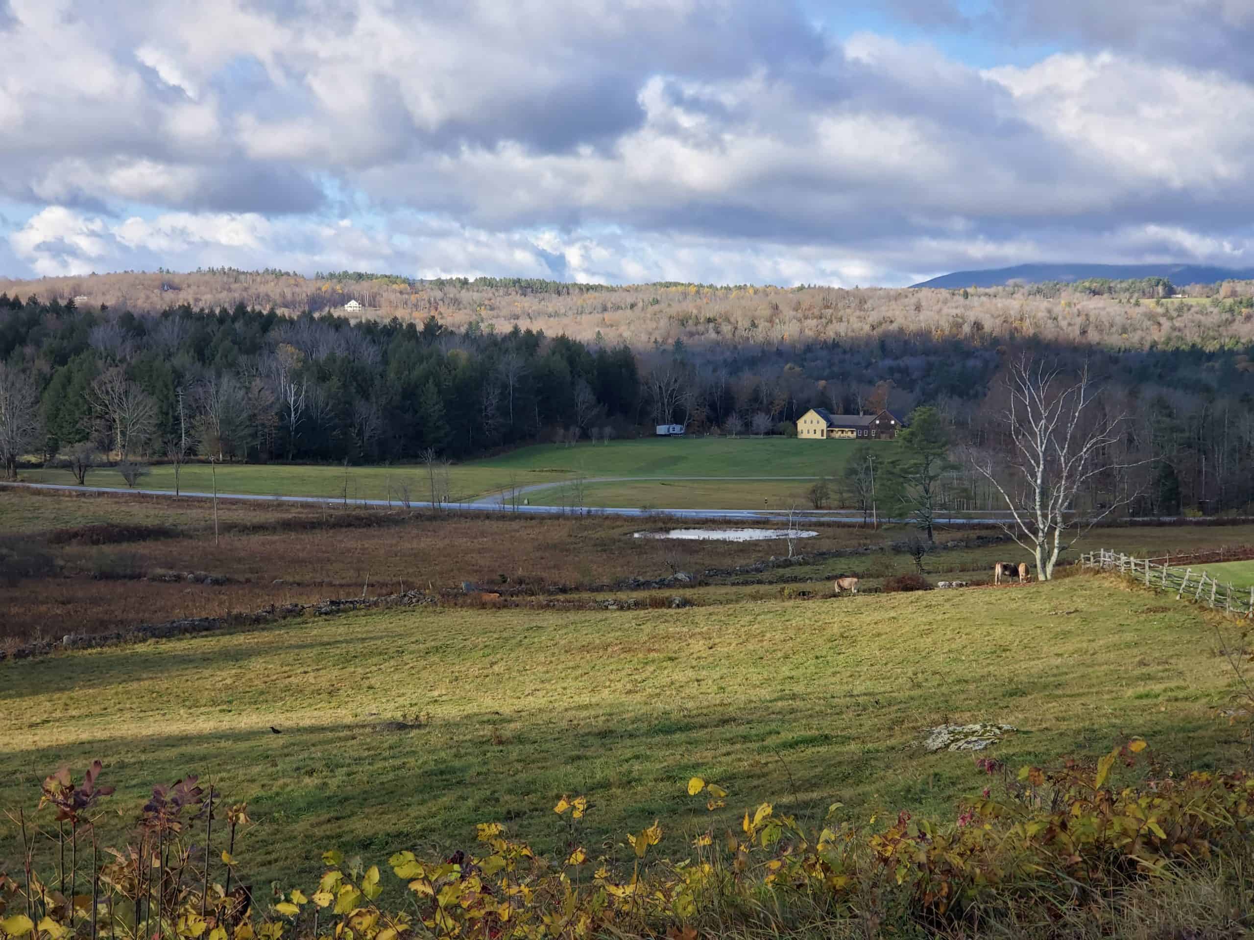 2019/10/23 - End of Foliage Season, near Weston, VT - by Renee-Marie Smith