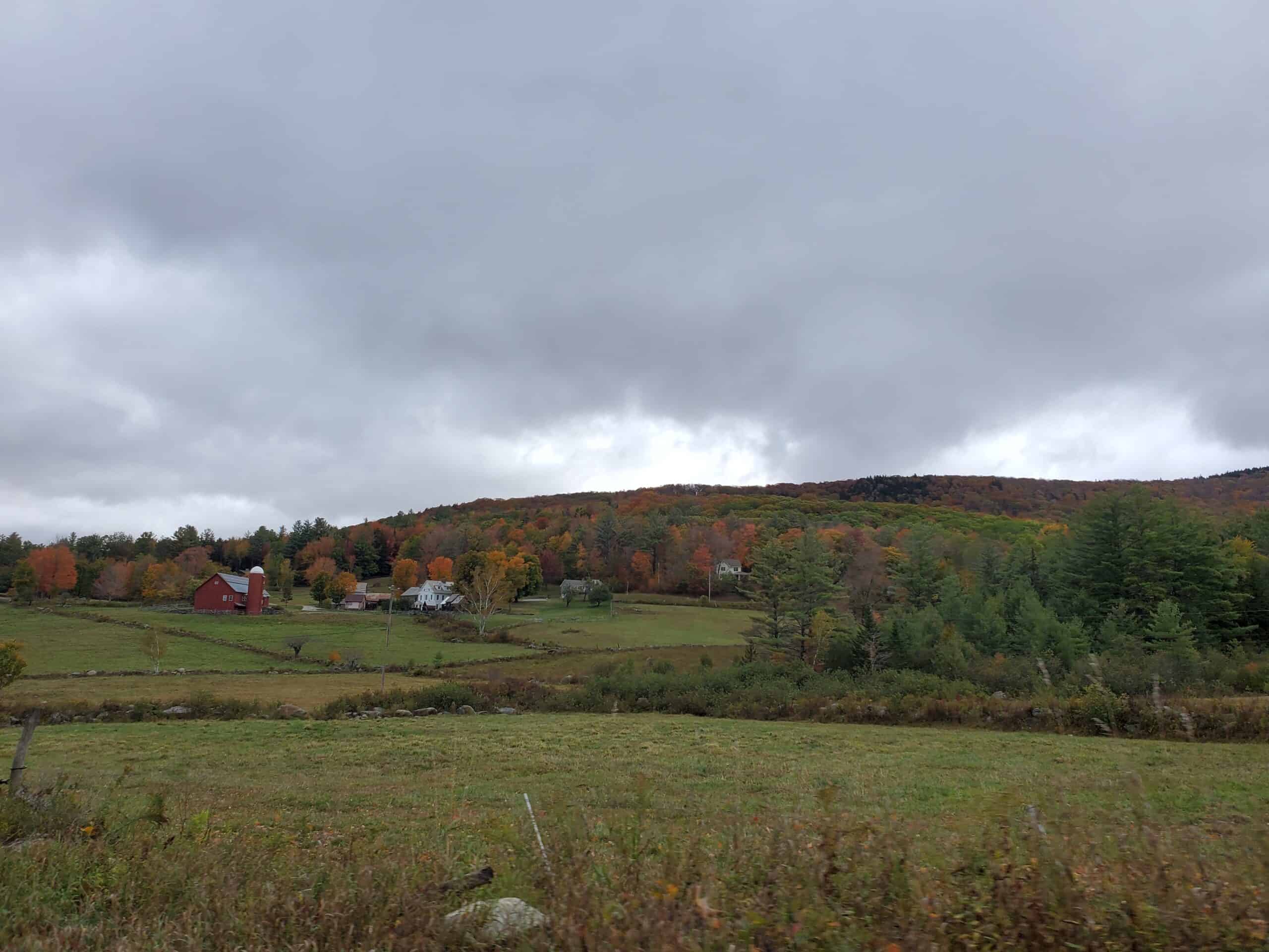 Foliage in Weston, VT - 2020-09-30
