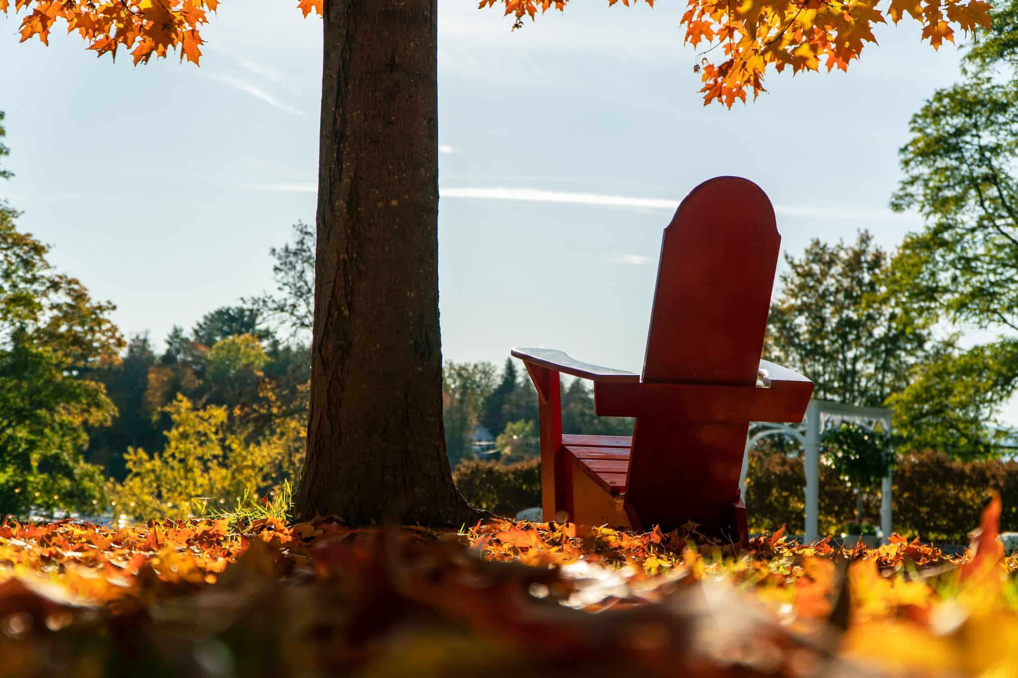 Basin Harbor Foliage Colorful Chair