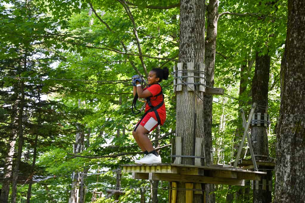 Bromley Mountain Treetop Course Sunny Forest Day