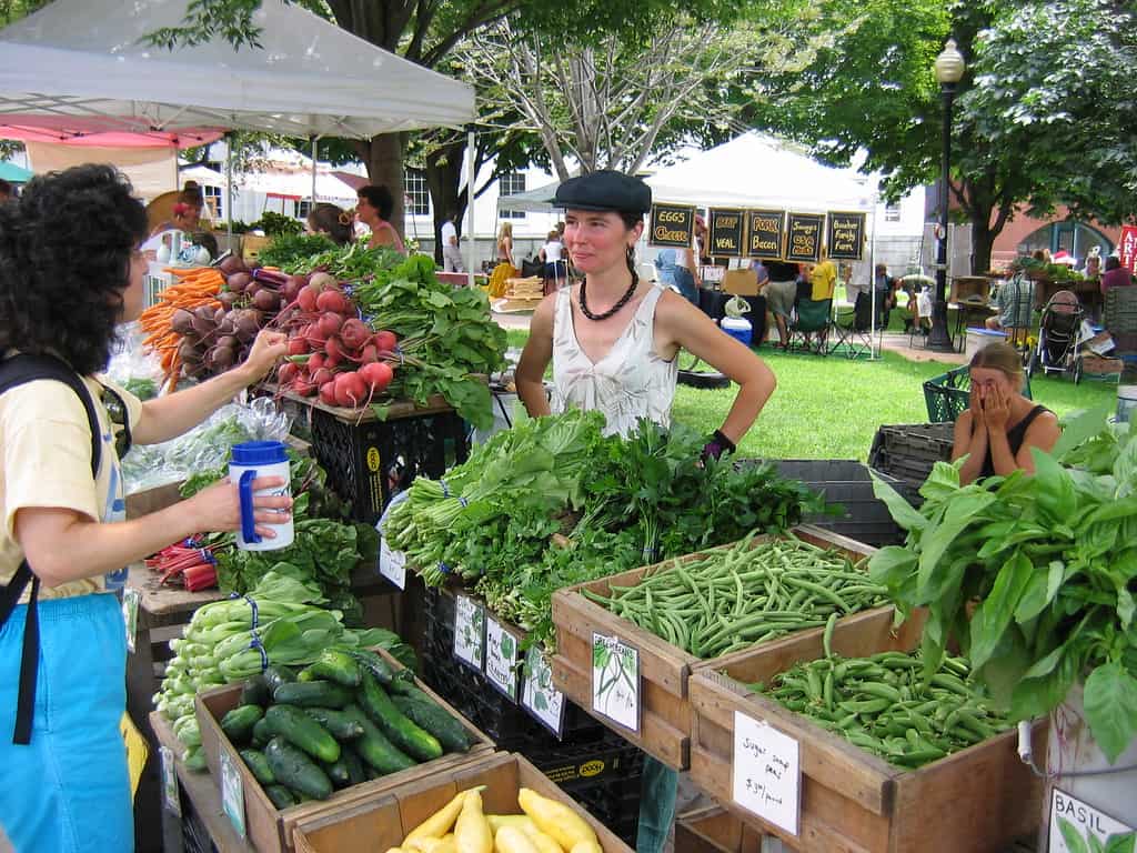 Burlington Farmers Market Stall