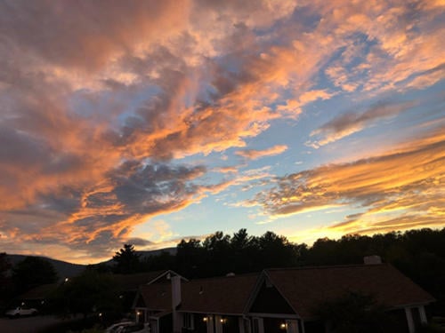 Manchester View - Foliage 2020-10-19