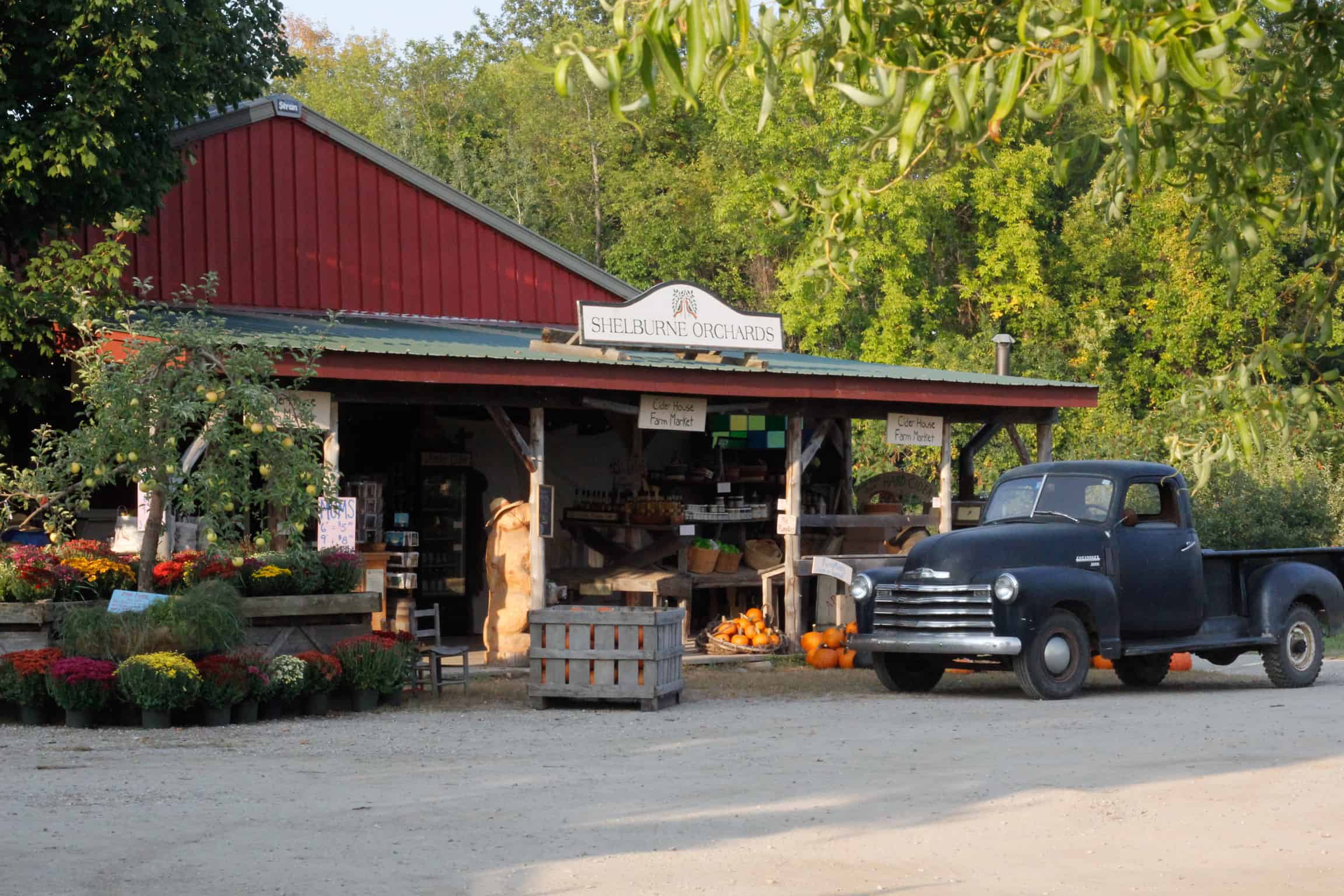 Shelburne Orchards - Storefront