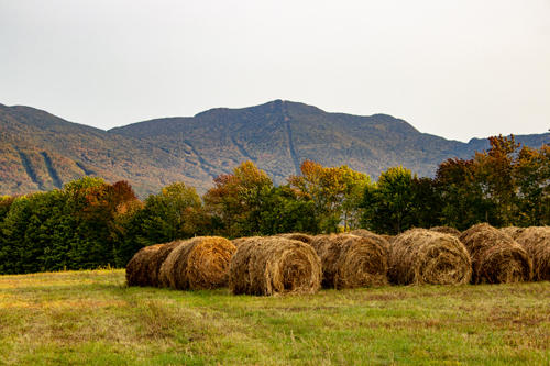 Smuggs Foliage 2020-09-23