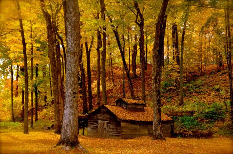 Vermont.com Foliage Sugar House