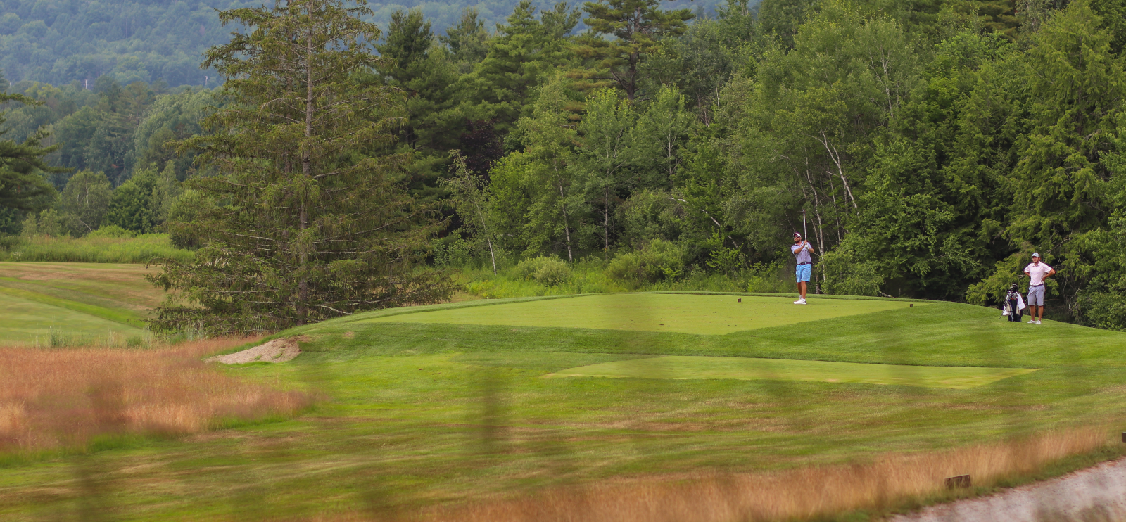 Stowe Country Club Fairways through the Grass